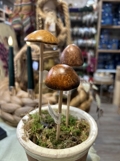 [P0000748] Pilz Stecker 3er Set klein