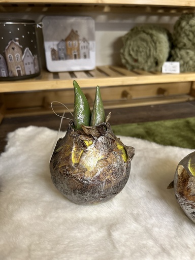 [P0000800] Amaryllis-Zwiebel silber/natur