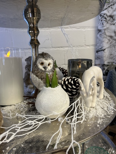 [P0001085] Amaryllis-Zwiebel weiß